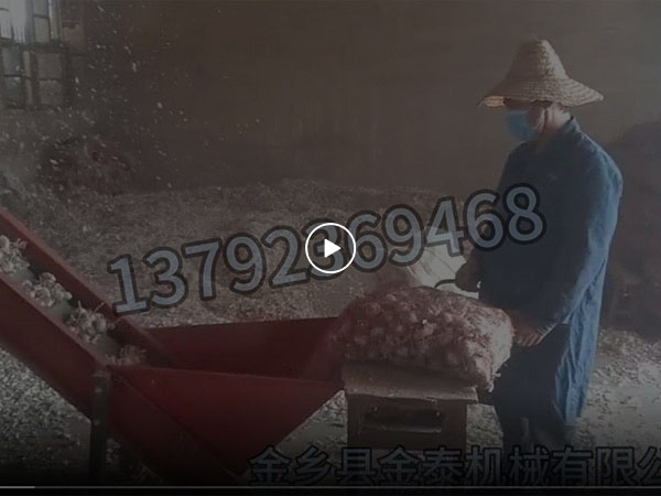 视频5